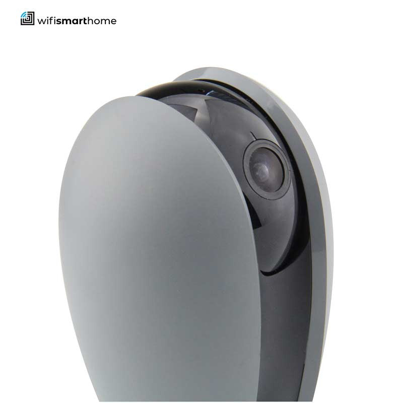 Alexa camera