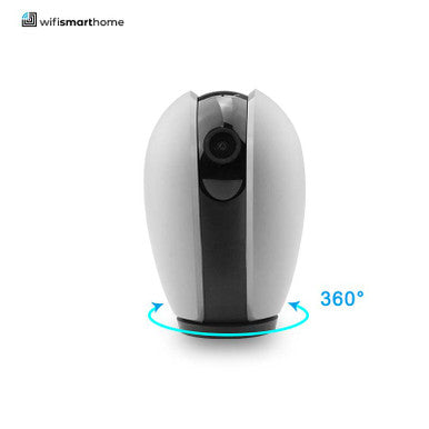 Alexa - Google 360Ëš WiFi Camera