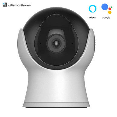 Alexa - Google Smart Home Mini Camera
